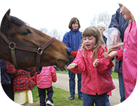 A young girl feeding a horse at Sacrewell Farm, Peterborough 