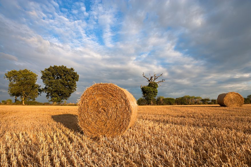 £1.32m awarded to develop rural Peterborough and Rutland economies